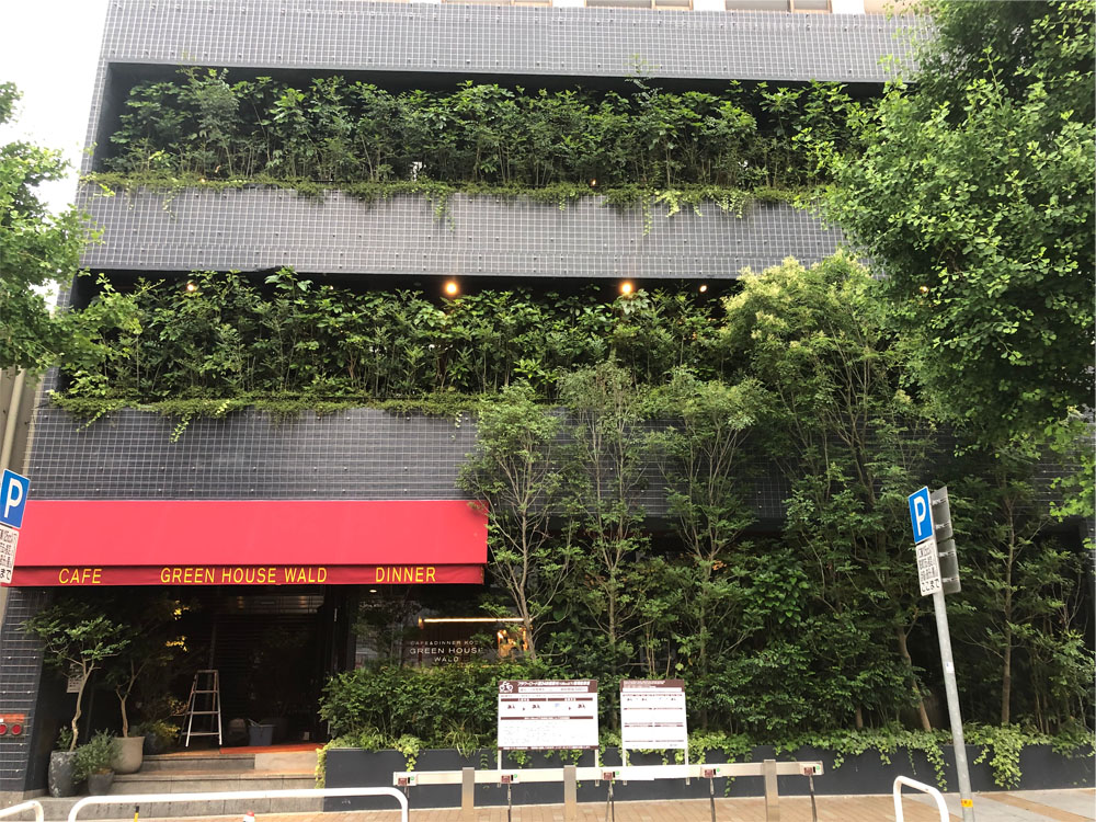 神戸のカフェグリーンハウス【GREEN HOUSE】